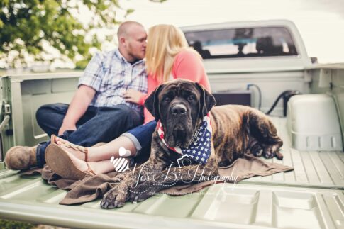 Pickup truck engagement photo with dog