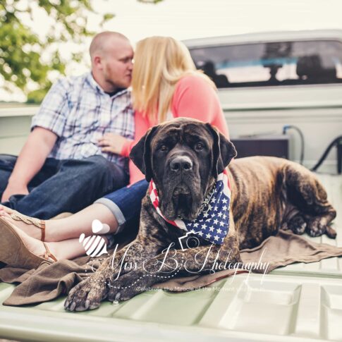 Pickup truck engagement photo with dog