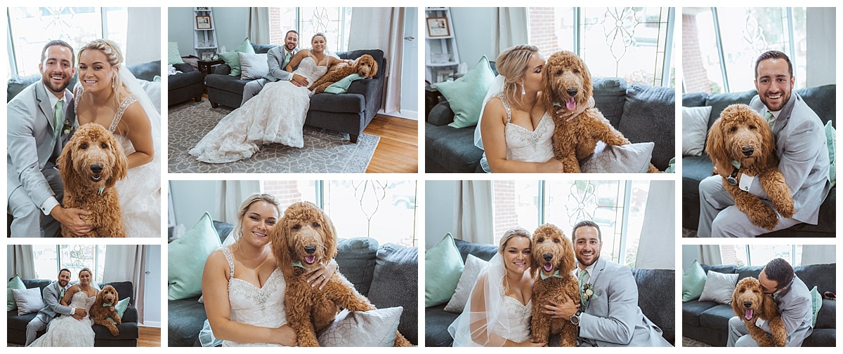 bride and groom with golden doodle