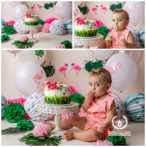 Flamingo cake smash, cake smash photo, first birthday session