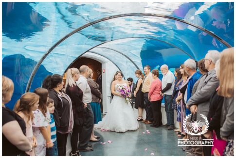 Detroit zoo wedding, polar bear wedding, detroit wedding at the zoo