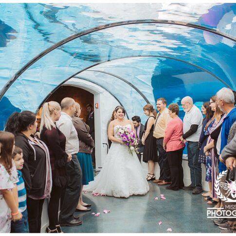 Detroit zoo wedding, polar bear wedding, detroit wedding at the zoo