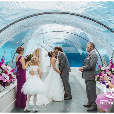 Detroit zoo wedding, polar bear wedding, detroit wedding at the zoo, port huron wedding photographer