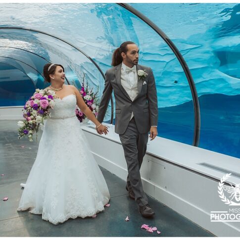 Detroit zoo wedding, polar bear wedding, detroit wedding at the zoo, port huron wedding photographer