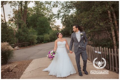 Detroit zoo wedding, polar bear wedding, detroit wedding at the zoo, bride and groom walking through detroit zoo