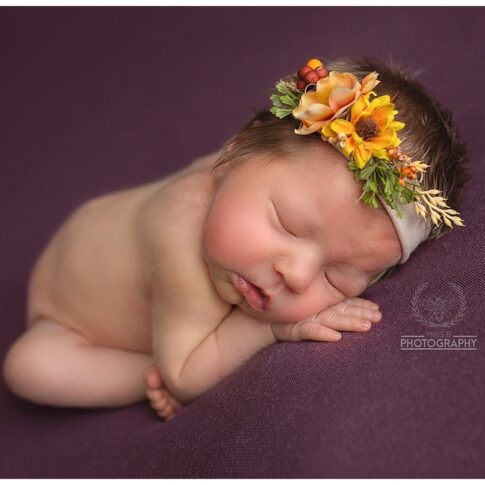 Port huron newborn studio session, newborn girl purple, michigan newborn photographer