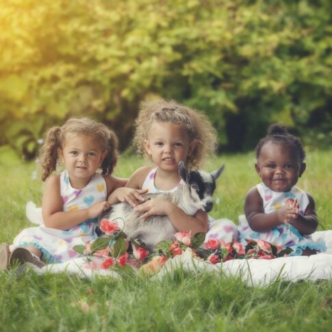 little girls summer farm photos with baby animals
