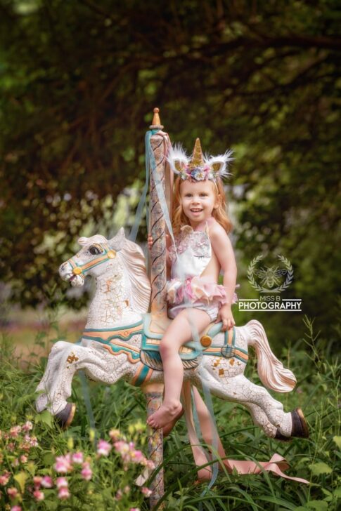 Carousel session, unicorn photo, port huron childrens photographer