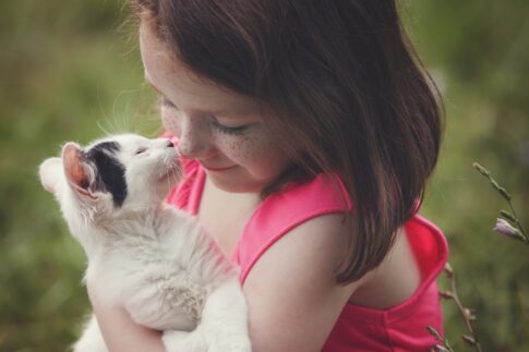 little girl summer farm photos with baby kitten
