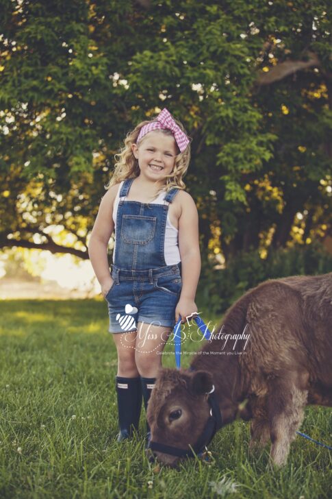 little girl in overalls darm shoot with mini cow