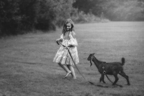 little girl walking baby goat black and white