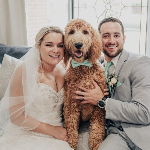 Bride and groom with golden doodle